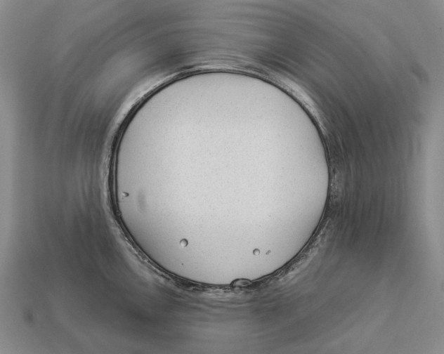 X0000112981146200909241215