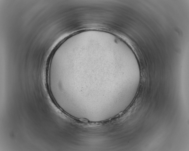 X0000112981147200909241215