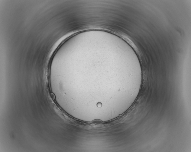 X0000112981148200909241215