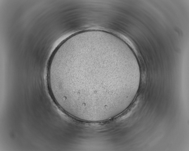 X0000112981149200909241215
