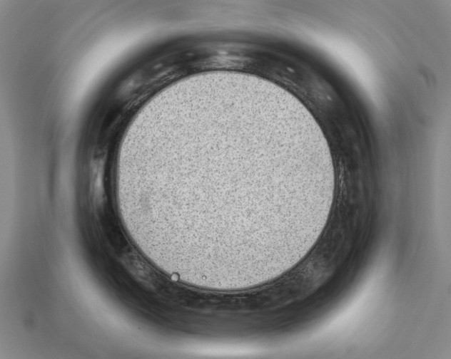 X0000112981150200909241215