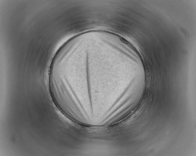 X0000112981151200909241215