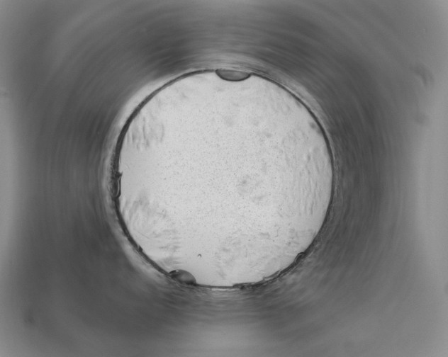 X0000112981152200909241215