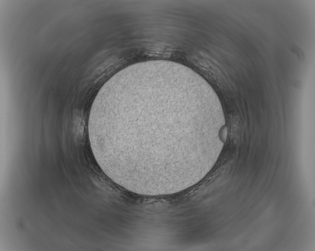 X0000112981154200909241214