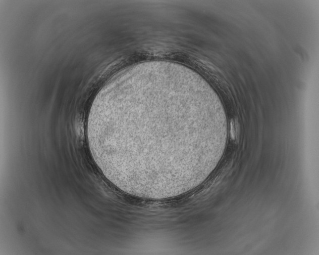 X0000112981155200909241214
