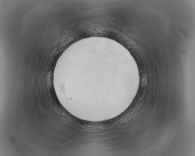 X0000112981156200909241214