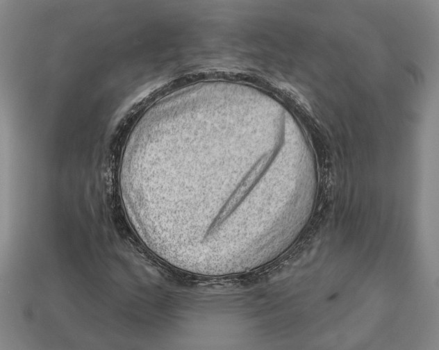 X0000112981159200909241214