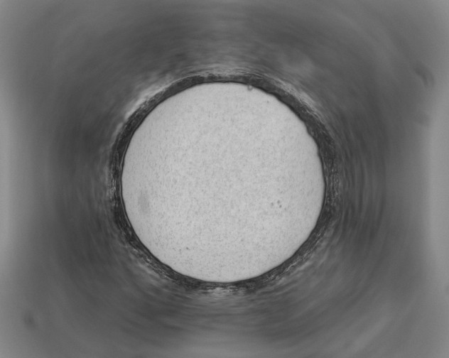 X0000112981160200909241214