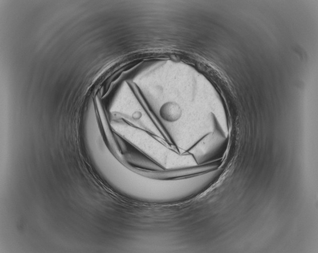 X0000112981162200909241214