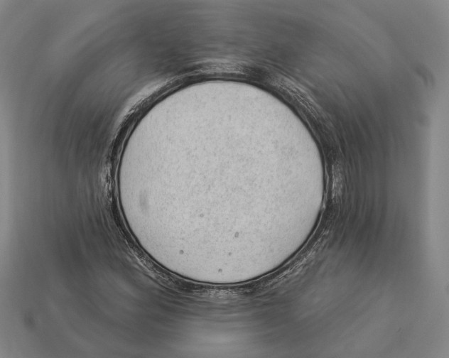 X0000112981164200909241214