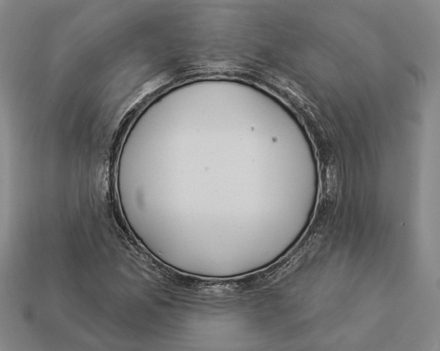 X0000112981165200909241214