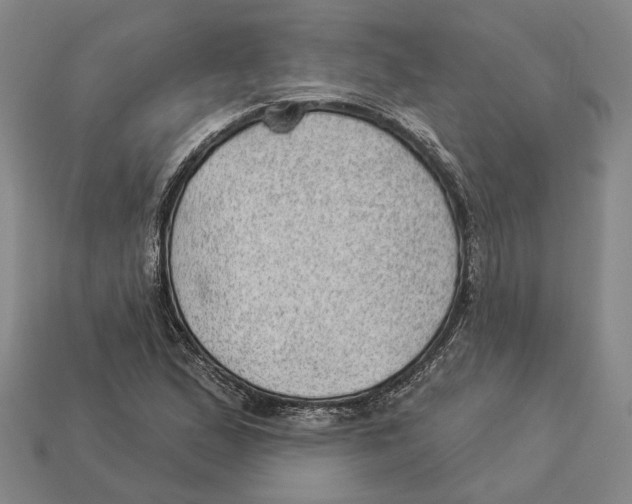 X0000112981167200909241214