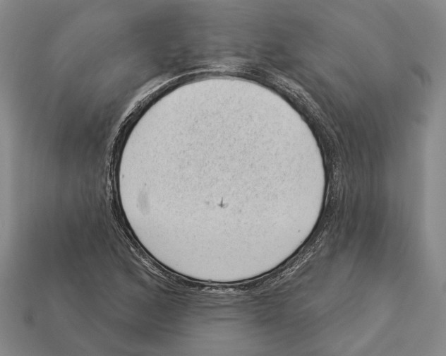 X0000112981168200909241214