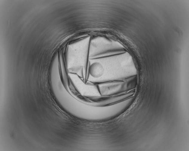 X0000112981169200909241214
