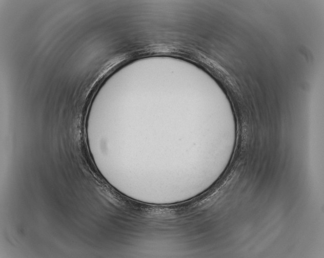 X0000112981170200909241214