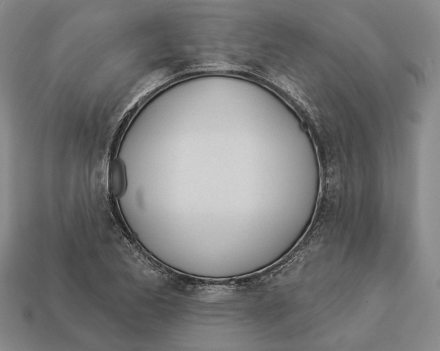 X0000112981173200909241214