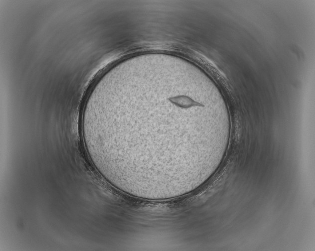 X0000112981174200909241214