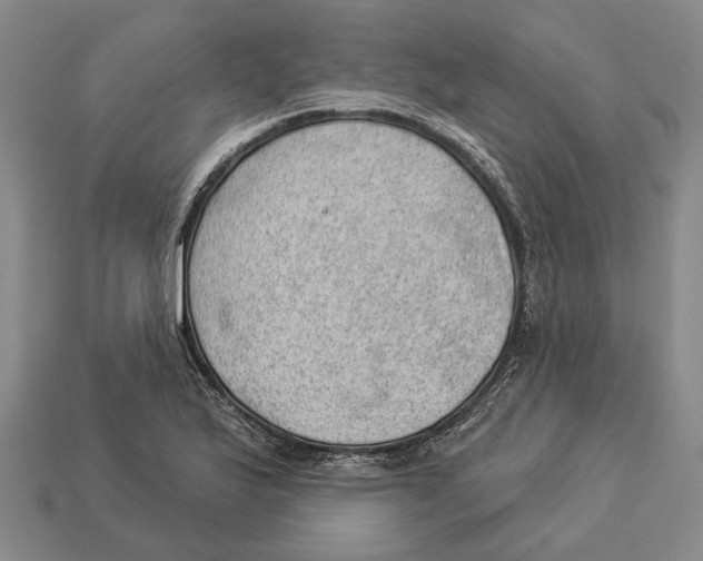 X0000112981175200909241214