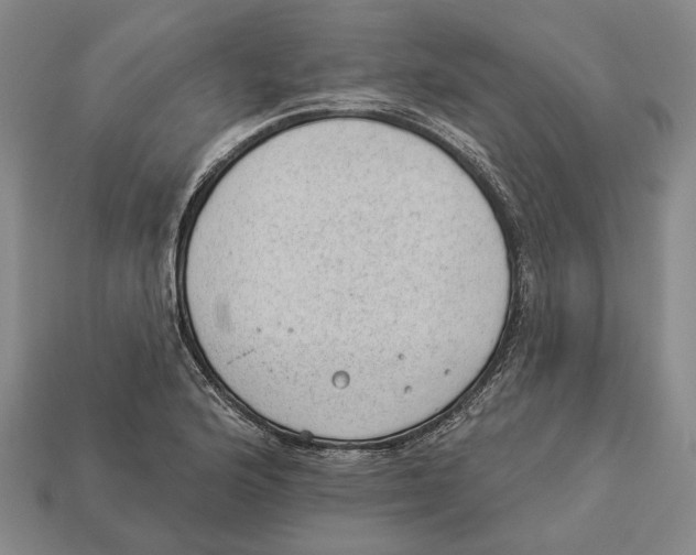 X0000112981176200909241214