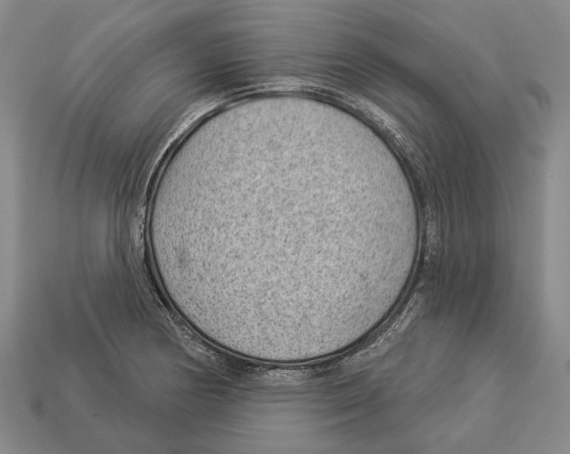 X0000112981178200909241214