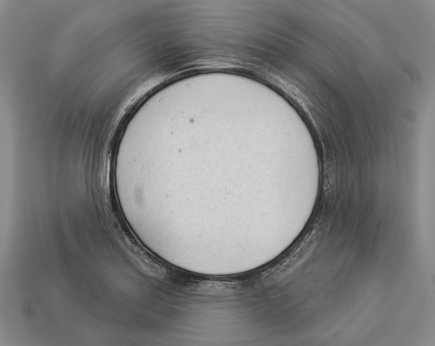 X0000112981179200909241214