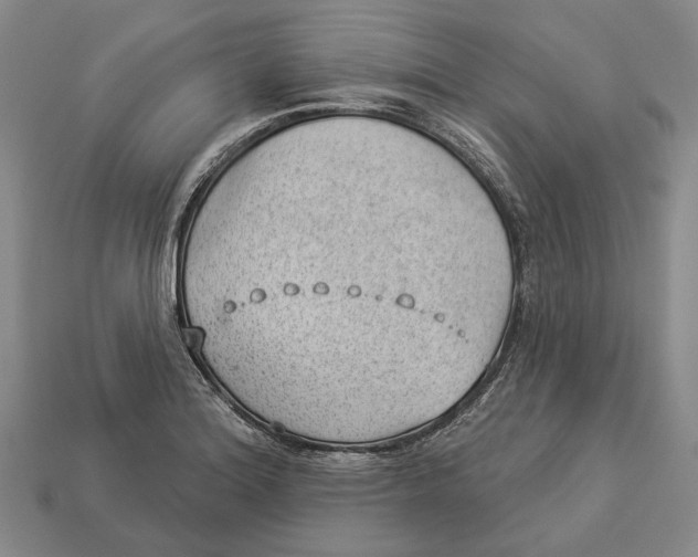 X0000112981180200909241214