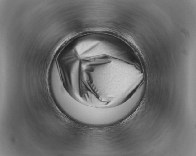 X0000112981181200909241214