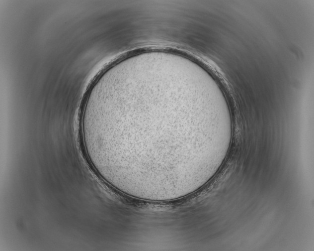 X0000112981183200909241214