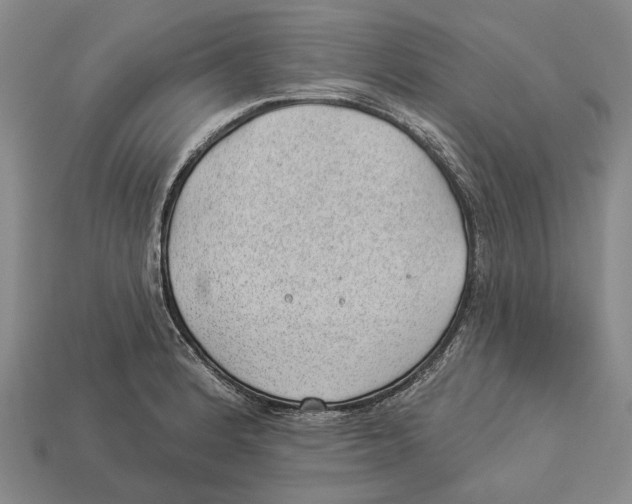 X0000112981184200909241214