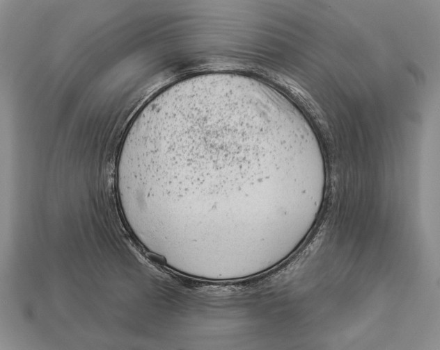 X0000112981185200909241214