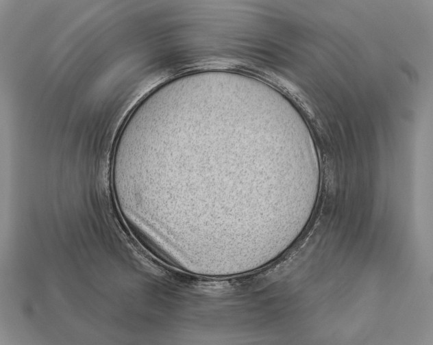 X0000112981186200909241214