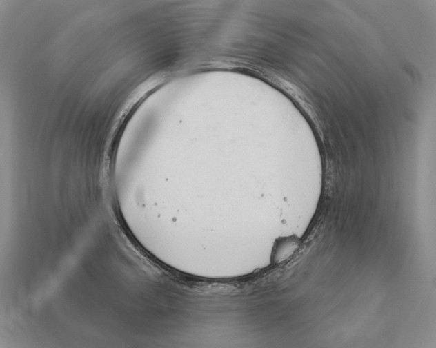 X0000112981187200909241214