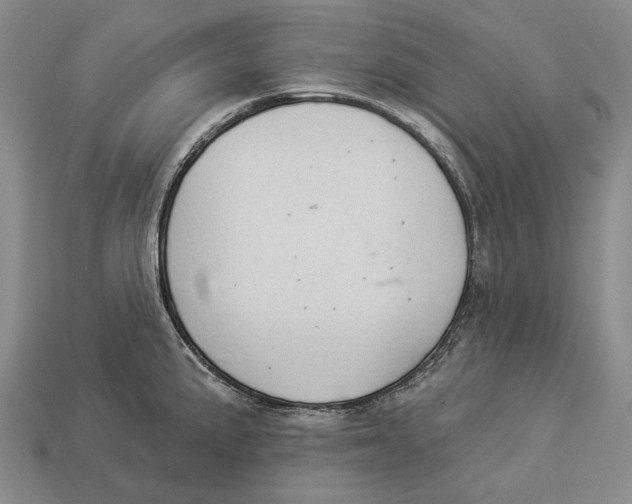 X0000112981191200909241214
