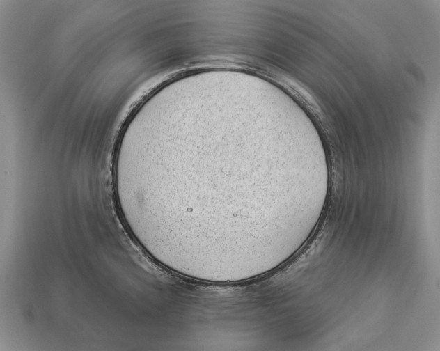 X0000112981192200909241214