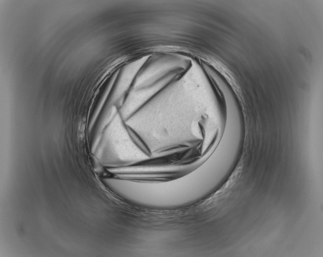 X0000112981193200909241214
