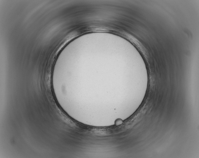 X0000112981194200909241214