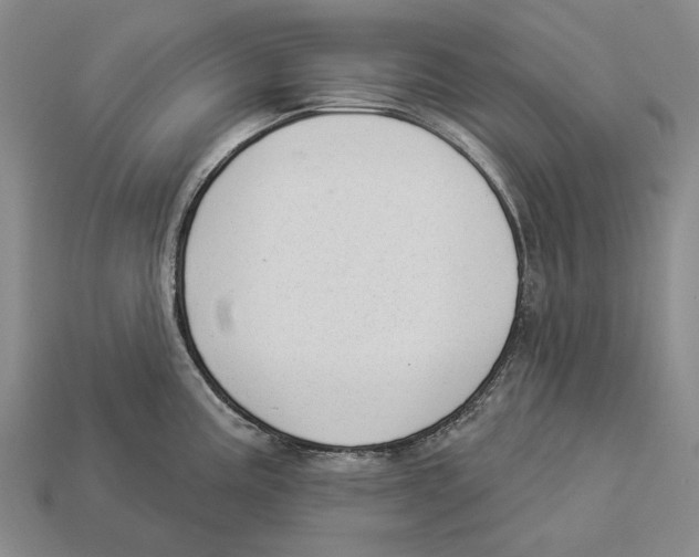 X0000112981195200909241214
