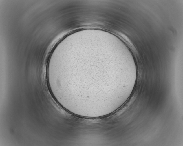 X0000112981196200909241214