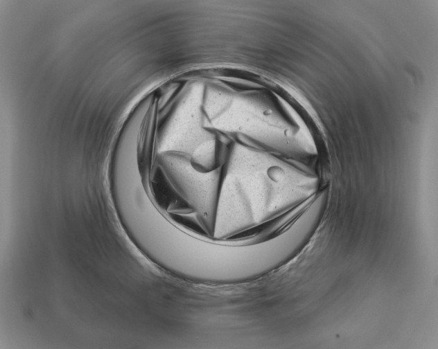 X0000112981197200909241214