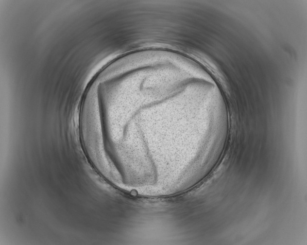X0000112981198200909241214