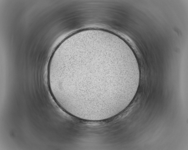 X0000112981199200909241214