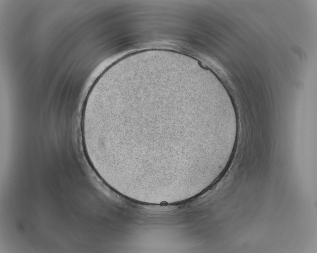 X0000112981200200909241214