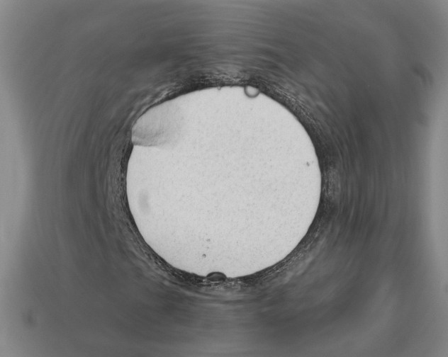 X0000112981201200909241213