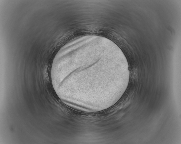 X0000112981202200909241213