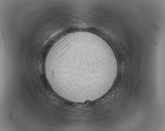 X0000112981205200909241213
