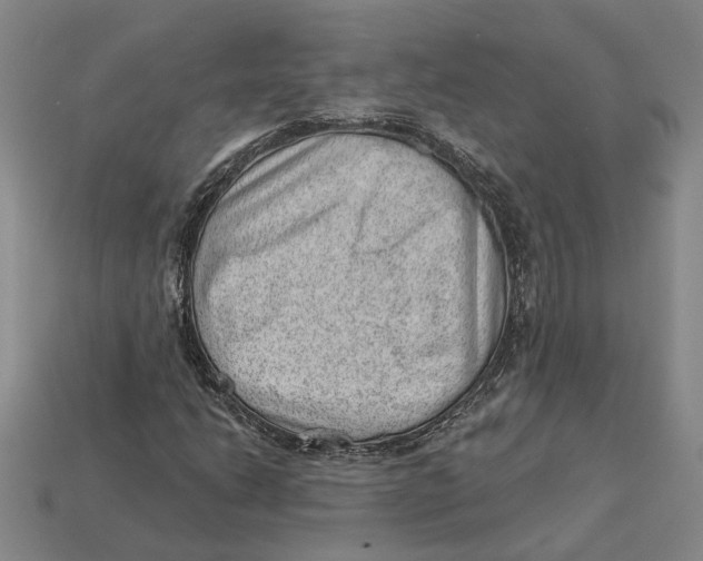 X0000112981206200909241213