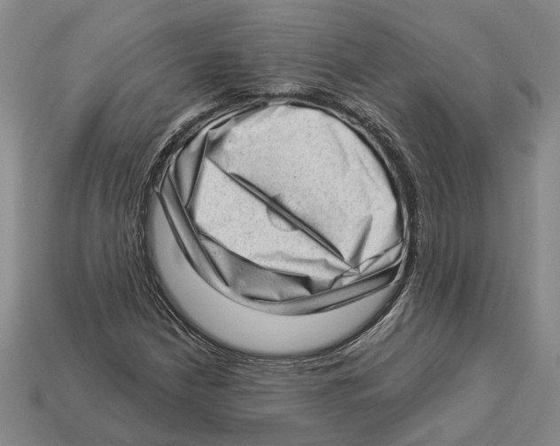 X0000112981210200909241213