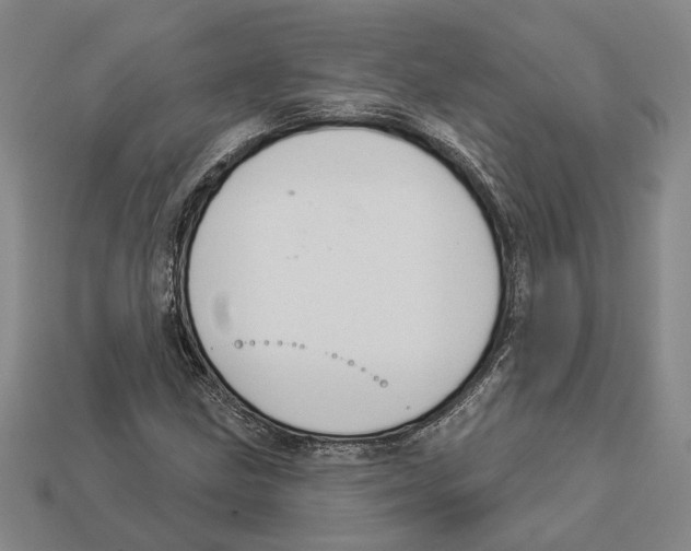 X0000112981211200909241213
