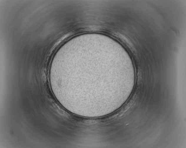 X0000112981212200909241213