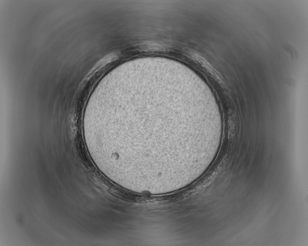 X0000112981213200909241213